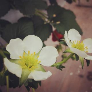 img_0334.JPG
